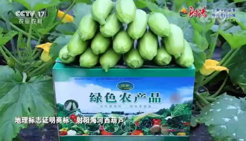 火遍全國！射陽綠色農產品宣傳片刷屏央視、江蘇衛視黃金時段